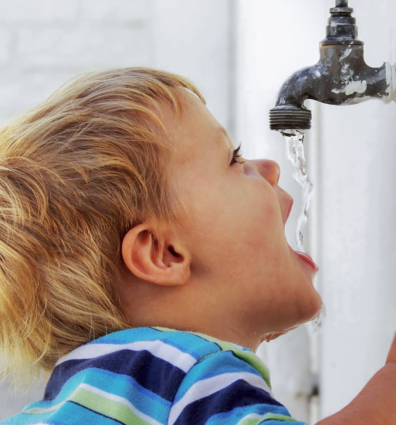 seltzer-vs-club-soda-vs-mineral-water-is-there-a-difference