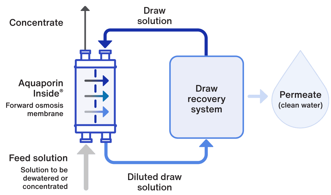 What is Reverse Osmosis? (RO) - Working Principle & Water Purification